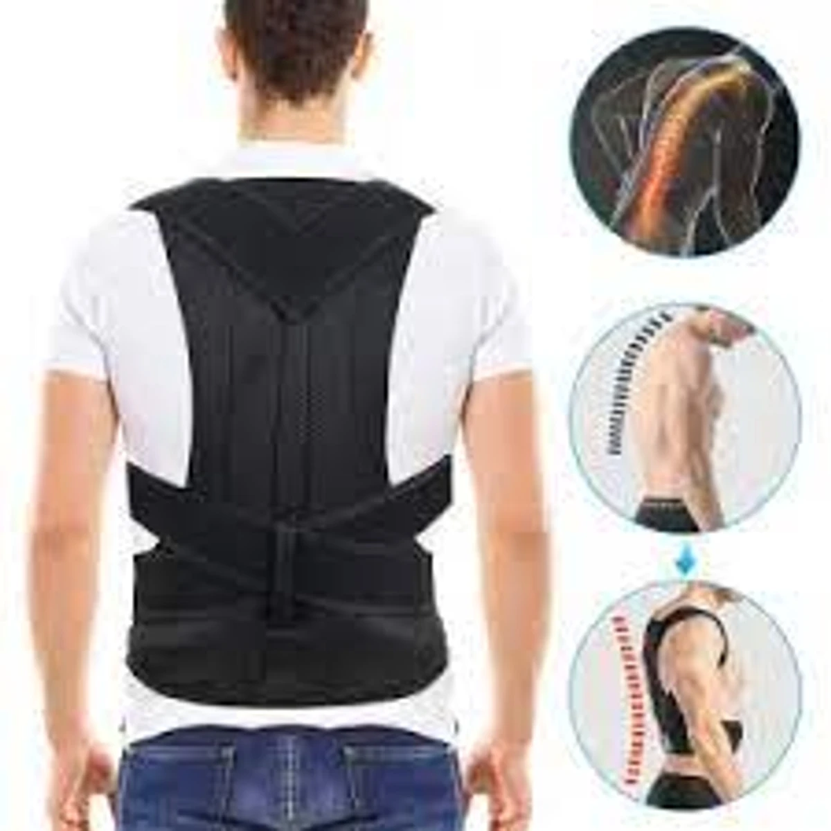 Premium Quality Back Pain Relief Back Support Belt