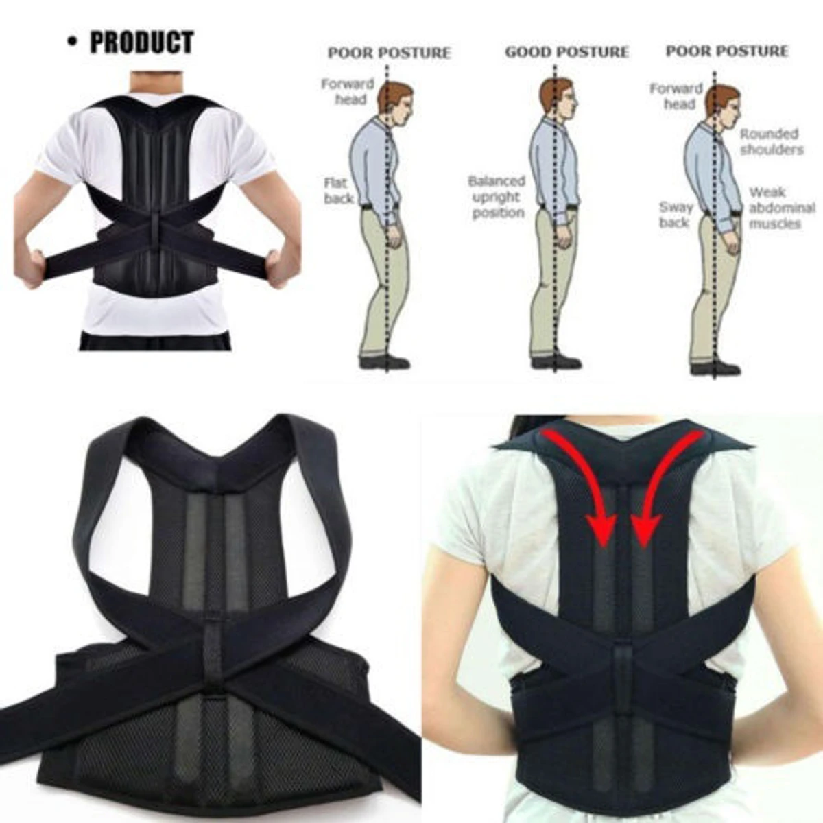 Premium Quality Back Pain Relief Back Support Belt